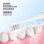 成人电动牙刷 S700