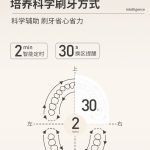 声波电动牙刷S900