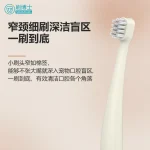 小头宠物牙刷 B019