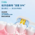 扫振电动牙刷 S600