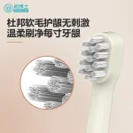 小头宠物牙刷 B019