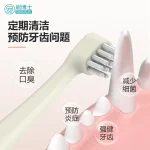 小头宠物牙刷 B019