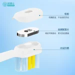 牙刷头 S600