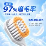 成人牙刷 B707